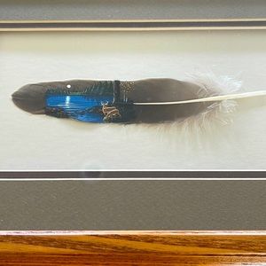 Painted feather of deer. Oak frame. 14.5in x9.5in